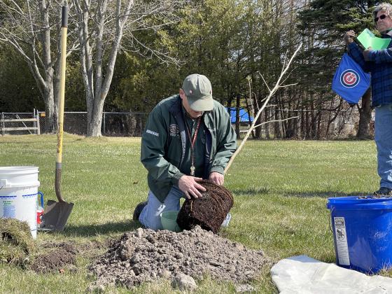 Northport Planning Commission and tree committee member Bob Newell is pictured planting a tree during Northport’s first Arbor Day celebration in 2022. Enteprise photo by Meakalia Previch-Liu