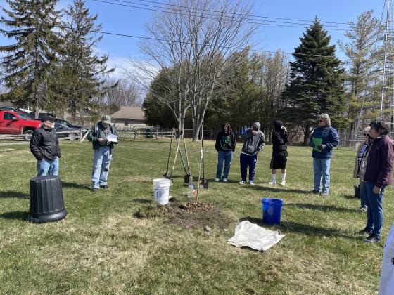 Students from Northport Public School helped plant a London planetree for the village’s first Arbor Day celebration in 2022. Enteprise photo by Meakalia Previch-Liu