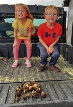 Siblings Kacey and Wyatt Novak, age 4 and 6 respectively, found these morel mushrooms near their home in Kasson Township. They are the children of Austin and Marie Novak. Courtesy photo