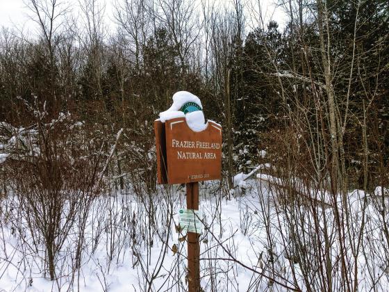 The Frazier Freeland Nature Area off Freeland Road shares a 900 foot property line with an 80 acre parcel near Omena that was sold by Villa Marquette to the Leelanau Conservancy. Enterprise photo by Alan Campbell