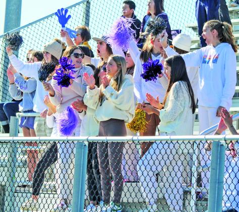 Leland students made the trip to Big Rapids on Saturday to support their team in the regional final Enterprise photo by Brian Freiberger